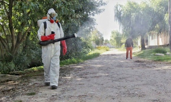 Confirman más de 28 mil casos de dengue en el país y piden reforzar los cuidados