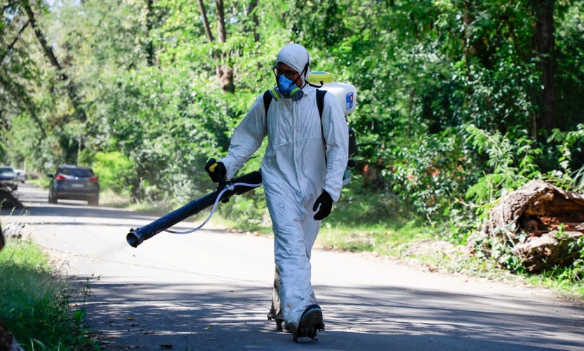 Dengue: Pilar ya registra casi 2.000 casos desde el inicio del brote