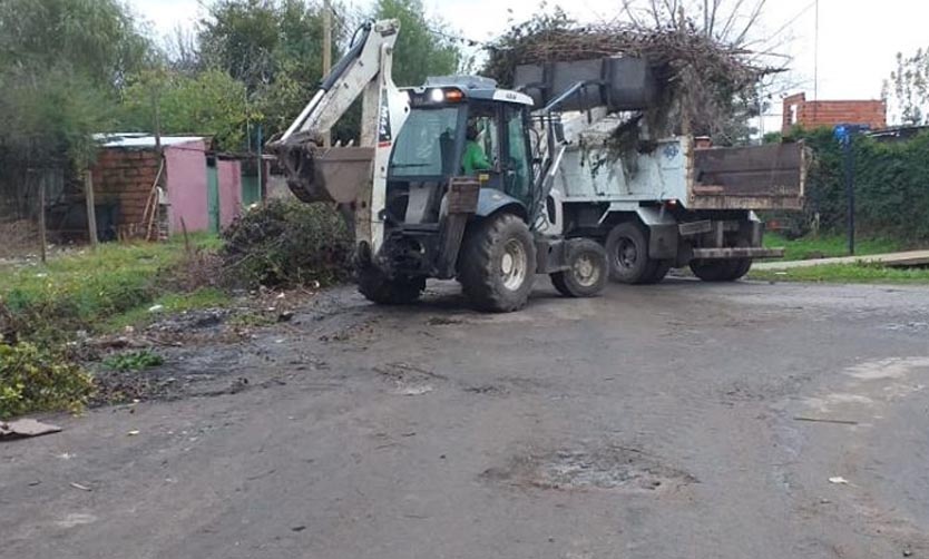 Por la pandemia, el Municipio suspendió por decreto el período de poda