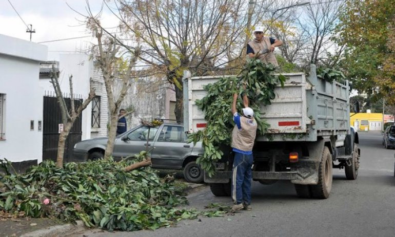 El Municipio realiza operativos de recolección de ramas en los barrios