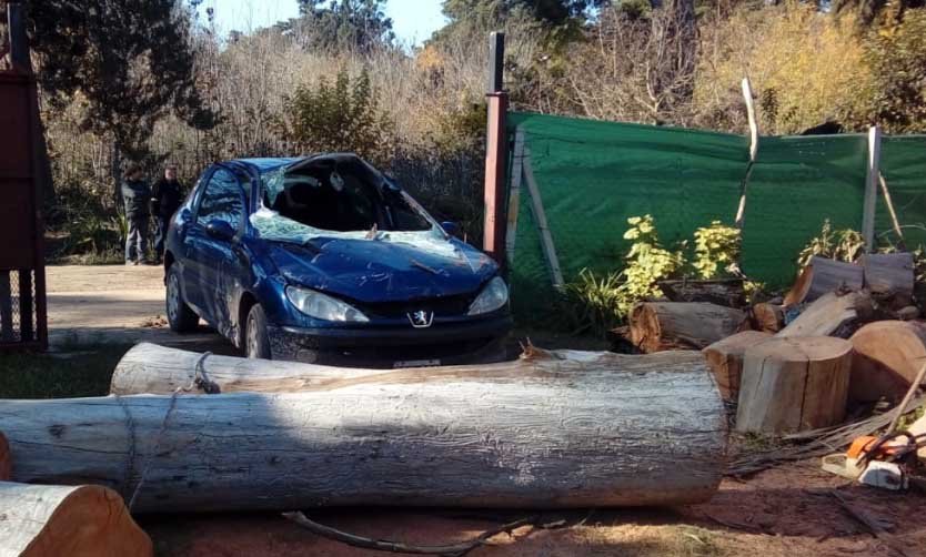 Mujer perdió las dos piernas al caer un árbol arriba del auto en el que se desplazaba