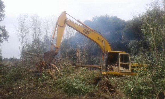 Polémica por las tareas de desmonte que la Comuna realiza en el Pellegrini