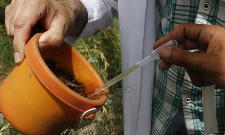 Con descacharreo en dos barrios, la Comuna lanza la campaña contra el dengue