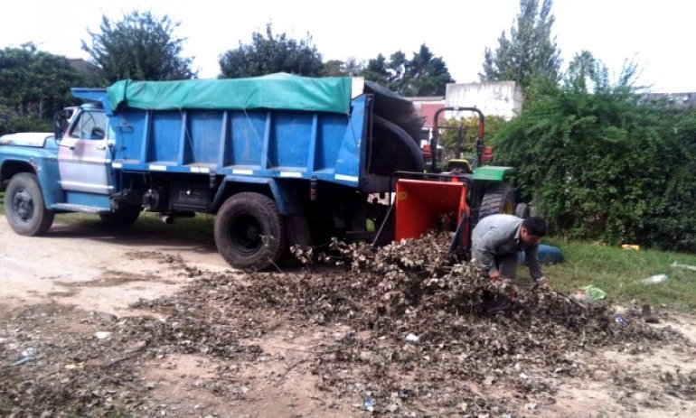 Con el uso de una chipeadora, el Municipio intentará solucionar la acumulación de ramas en la calle