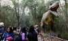 Vacaciones de invierno: este fin de semana reabre Parque Pilar Jurásico