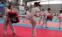 Taekwondo: Campus y capacitación arbitral en el Club Municipal Lagomarsino