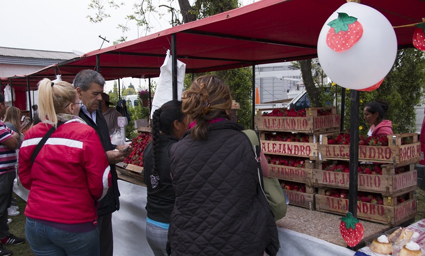 Se celebró en Fátima la tercera edición de la fiesta de la frutilla