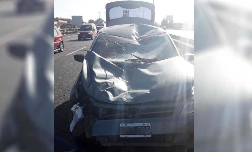 Un caballo suelto generó un accidente en Panamericana