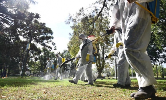 Dengue: Provincia informó que Pilar está en "brote" por la enfermedad