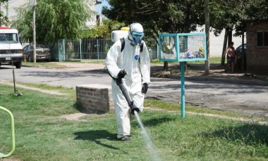 Dengue: Pilar sigue en brote y ya se registraron casi 100 casos