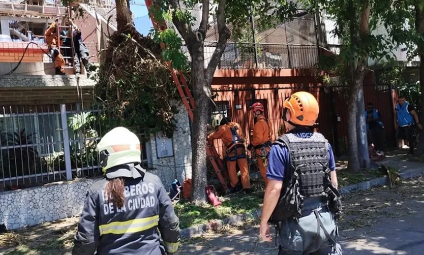 Fatal accidente: jardinero de Pilar murió mientras podaba