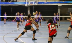 Se pone en marcha el 2025 de la Liga Municipal de Voley