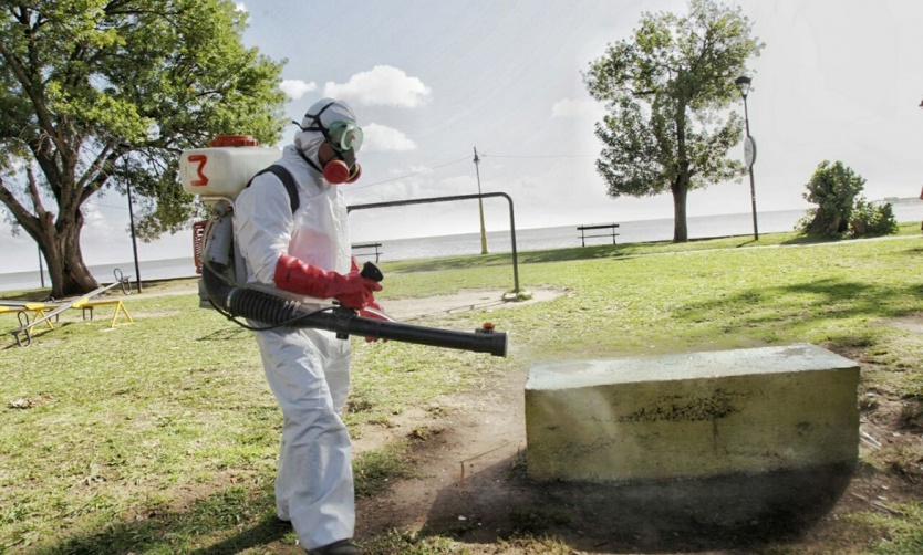 Dengue: para la Provincia es la epidemia “más grande de la historia del país”