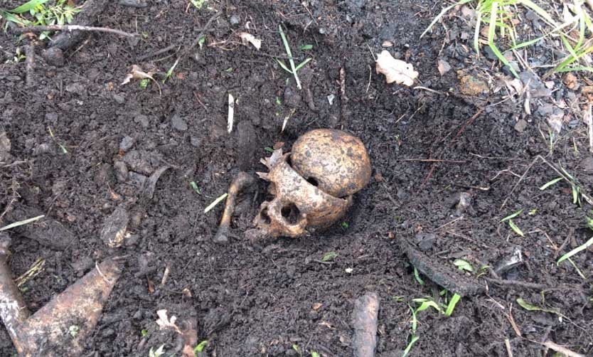 Hacía trabajos de jardinería y encontró una calavera enterrada en el patio