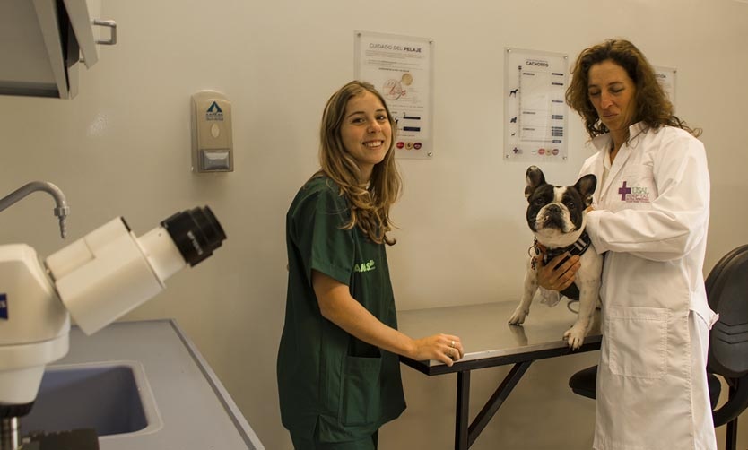 La USAL inauguró el Hospital Escuela Veterinaria